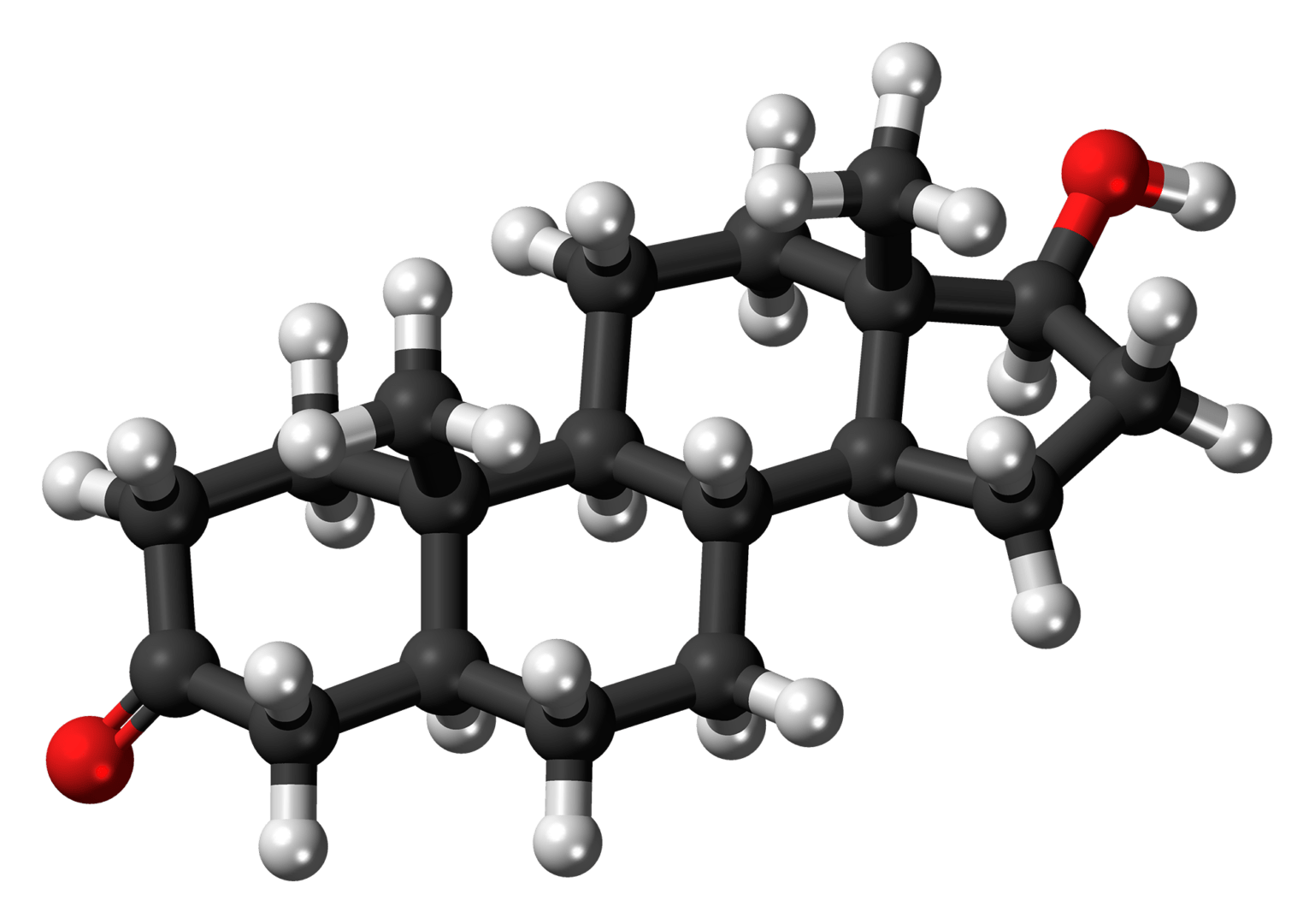 Dihydrotestosteron Aufbau